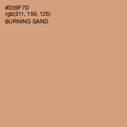 #D39F7D - Burning Sand Color Image